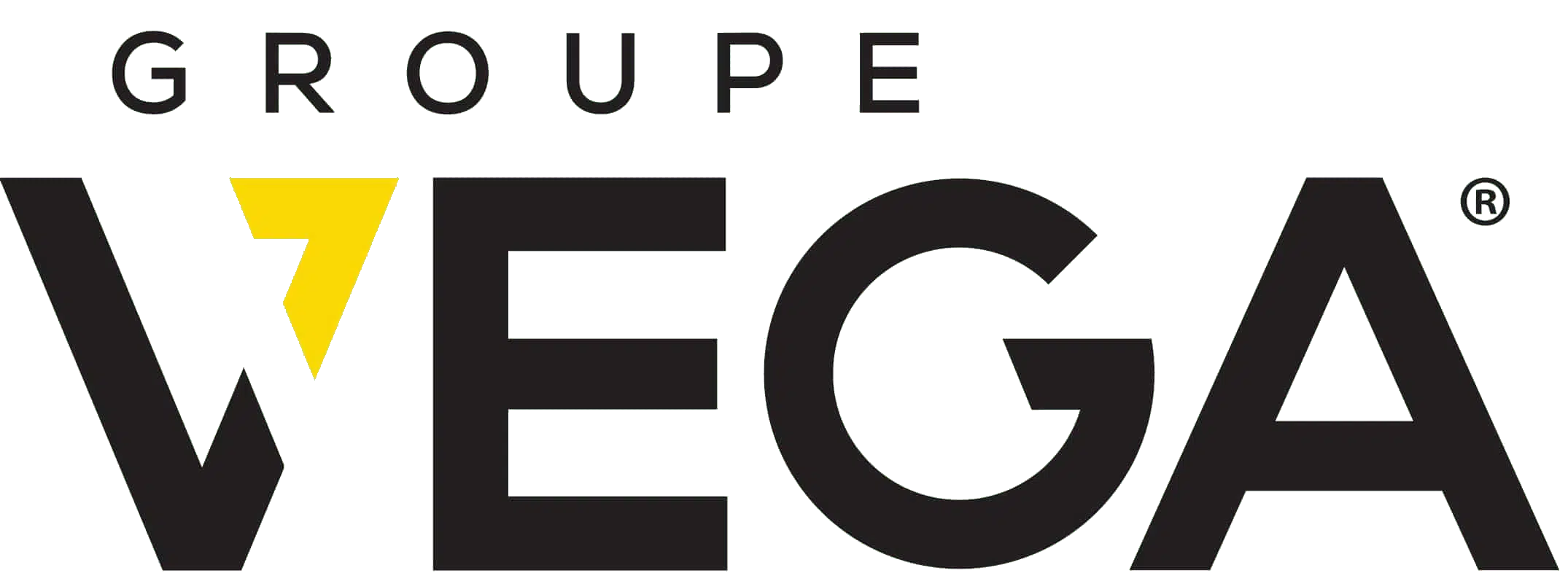 logo-groupe-vega-noir