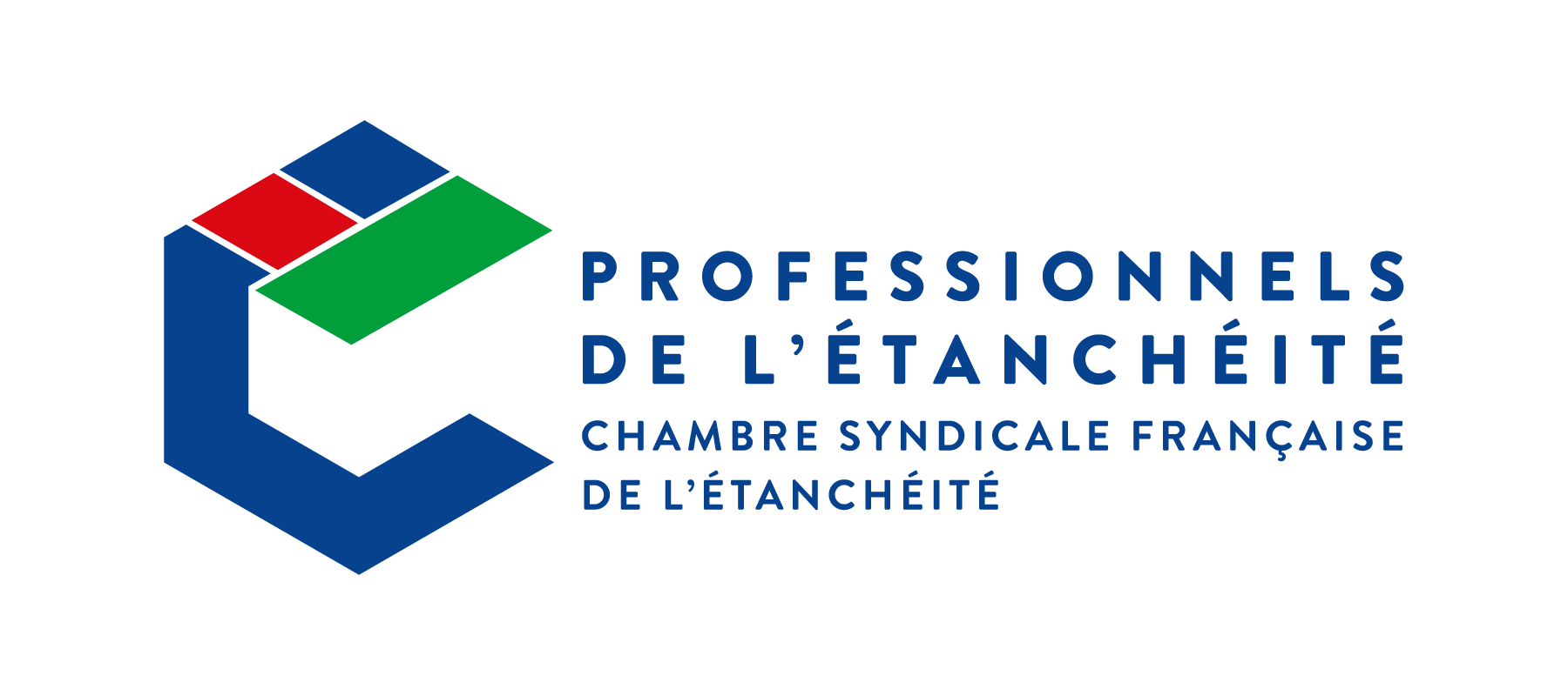 logo CSFE